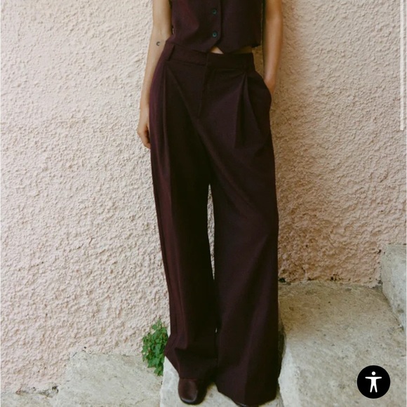 Zara Double Pleat Pants - Picture 1 of 7